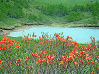 万座温泉