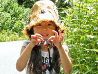 アサギマダラ飛んでゆけ