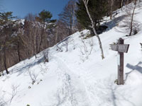 鞍部までの登山道