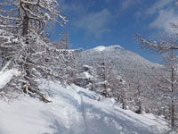 篭ノ登山が見える