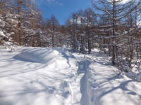 黒斑山登山道