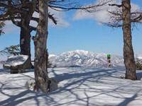 桟敷山山頂