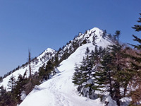 四阿山山頂手前