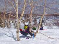 野地平湿原
