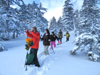 亜高山帯針葉樹林