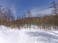 林道分岐