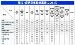 部位・症状別倍率表 title=