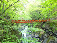 鹿飛橋
