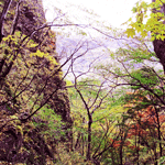 岩櫃山登山道
