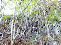 焙烙岩