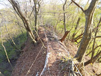 登山道