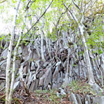 焙烙岩