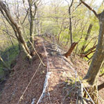 王城山登山道