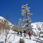 万座温泉から朝日山－ぼうず山スノーシュー